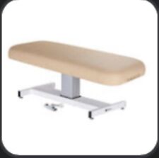 Earthlite electric massage for sale  Brooklyn