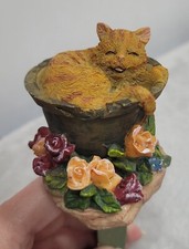 Lazy cat flower for sale  Barnesville