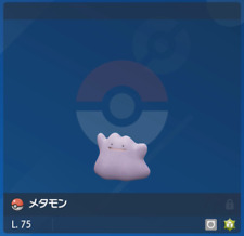 Ditto 6iv shiny usato  Mantova