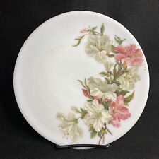 Vintage hand painted for sale  Sebastopol