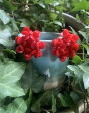 Blumen hrclips 60er gebraucht kaufen  Langenau