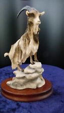 Teviotdale mountain goat for sale  BILLINGHAM