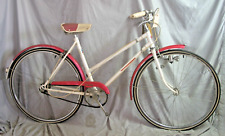 1975 skyway cruiser for sale  Madison