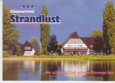 Ansichtskarte alt dümmer gebraucht kaufen  Deutschland