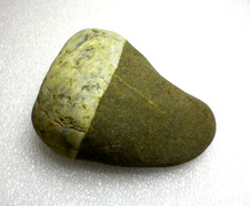 Grand fossile otodus d'occasion Grand fossile otodus d'occasion  Tours-