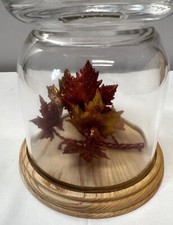 Glass cloche wooden for sale  Deerfield