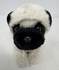Wilberry pug dog for sale  STEVENAGE