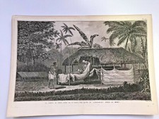 Polynesia chief tahiti d'occasion  Paris VI