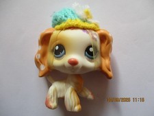 Petshop chien epagneul d'occasion Petshop chien epagneul d'occasion  Bailleul