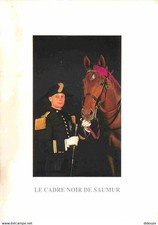Animaux chevaux saumur d'occasion  Fruges