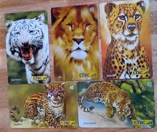 5 gatos selvagens. Jaguatirica. Onca-pintada. Leão. Guepardo & Tiger Bronco. BRASIL. comprar usado  Enviando para Brazil