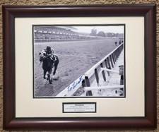Secretariat 1973 belmont for sale  Lexington