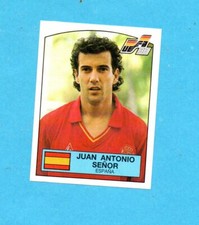 Euro panini figurina usato  Milano