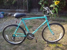 Vintage gents raleigh for sale  BRENTWOOD