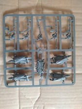 Warhammer fantasy seegarde gebraucht kaufen  Holzminden