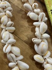 Vintage cowrie shell for sale  Cokato