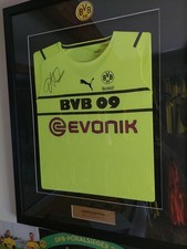 Bvb trikot borussia gebraucht kaufen  Roßwein