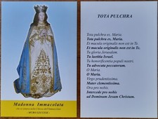 Madonna immacolata muro usato  Forli