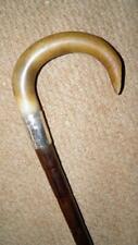 Edwardian bovine horn for sale  PONTYCLUN