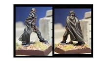 Painted assassin blue for sale  Bellevue