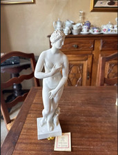 Statua venere medici usato  Mondovi