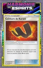 Ceinture karaté sl11 d'occasion  Romans-sur-Isère