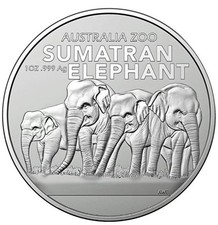 Silbermünze sumatra elefant gebraucht kaufen  Freital