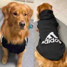 Adidog pet dog for sale  BATH