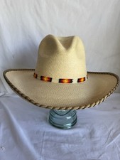 Sunbody palm leaf for sale  Syracuse