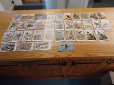 Vintage bird postcards for sale Vintage bird postcards for sale  FOREST ROW