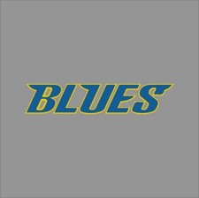 Louis blues nhl for sale  Mount Pleasant