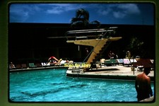 Miami beach florida for sale  Peoria