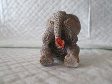 Tuskers elephant rose for sale  WESTON-SUPER-MARE