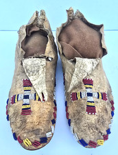 Early sioux native for sale  Greensboro