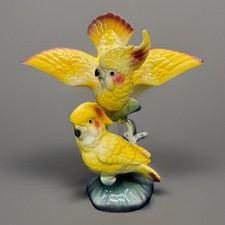 Yellow cockatoos cockatiel for sale  San Antonio