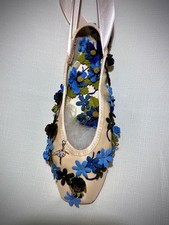 Decorated ballet pointe for sale  Wichita
