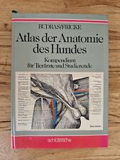 Atlas anatomie hundes gebraucht kaufen  Langenfeld (Rheinland)