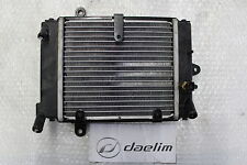 Daelim 125 kühler gebraucht kaufen  Knittlingen