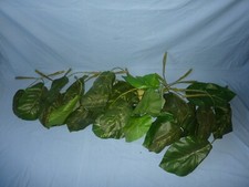 Artificial plant large for sale  WESTON-SUPER-MARE
