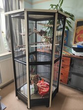 Large indoor birds for sale  LEATHERHEAD