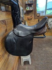 Schleese eagle jumping for sale  Burlington