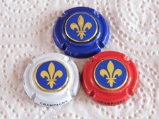 Capsules champagne generique d'occasion  Montmort-Lucy