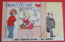 pet cockatoo for sale pet cockatoo for sale HUNTINGDON