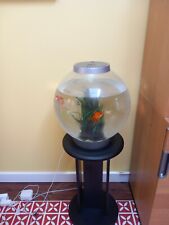 Cold water fish for sale  BEXLEY