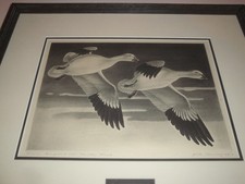 1947 federal duck for sale  Minnetonka