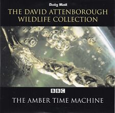 The amber time gebraucht kaufen  Herzberg am Harz