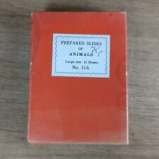 Prepared slides animals for sale  NORWICH