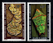 Camerun 1975 michel usato  Bitonto