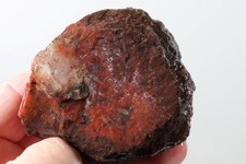 Agatized utah pseudo for sale  Polson