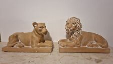 Coppia leoni terracotta usato  Torino